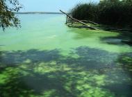 Привітне з panoramio.com