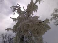 Велика Андрусівка з panoramio.com