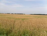 Пролетарське з panoramio.com