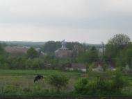 Черепашинці з panoramio.com