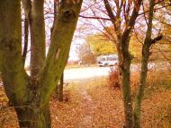 Куряни з panoramio.com