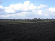 Веселе з panoramio.com