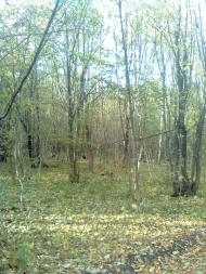 Селище з panoramio.com