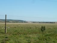 Семенівка з panoramio.com