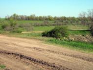 Переможне з panoramio.com