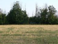 Червоноселівка - Останні фото