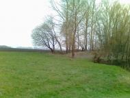 Короваї - Останні фото