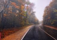 Лісне з panoramio.com