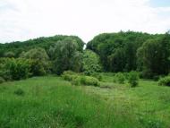 Суха Гомільша з panoramio.com