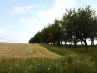 Случ з panoramio.com