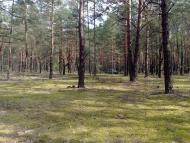 Софіянівка з panoramio.com