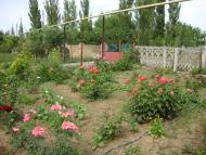 Кропоткіне з panoramio.com