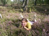 Сенюки з panoramio.com