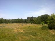 Чаплищі з panoramio.com