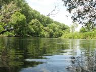 Думенки з panoramio.com