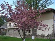 Анталовці з panoramio.com