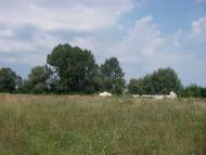 Виповзів з panoramio.com