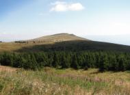 Липовець з panoramio.com
