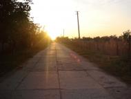 Першотравневе з panoramio.com