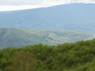 Тибава з panoramio.com