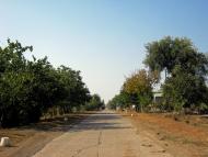 Новожитомир з panoramio.com