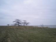 Приморське з panoramio.com