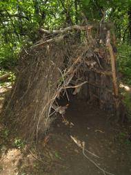 Маломиколаївка з panoramio.com