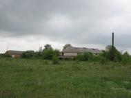 Черепашинці з panoramio.com