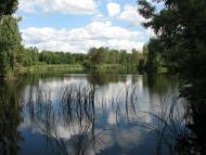 Стригани з panoramio.com