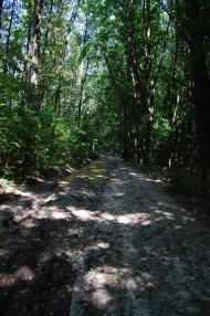 Суха Гомільша з panoramio.com