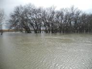 Ліски з panoramio.com