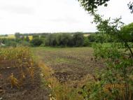 Першотравневе з panoramio.com