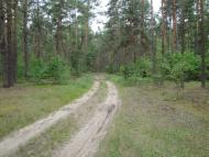 Скиток з panoramio.com