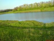 Дмитрівка з panoramio.com