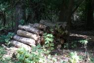 Кислиця з panoramio.com