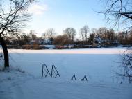 Малківка - Останні фото