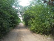 Панкратове з panoramio.com