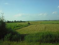 Малий Стидин - Останні фото