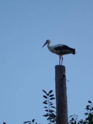 Клишки з panoramio.com