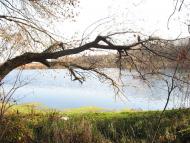 Усть-Лип'янка з panoramio.com