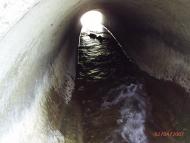 Пасицели з panoramio.com