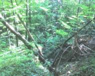 Блищанівка з panoramio.com