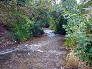 Бірюкове з panoramio.com