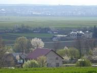 Нижні Синівці з panoramio.com