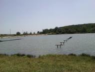 Тарутине з panoramio.com