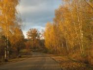 Глибівка з panoramio.com