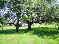 Бірки з panoramio.com