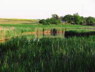 Бурячки з panoramio.com