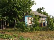 Пасат з panoramio.com