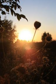 Случ з panoramio.com